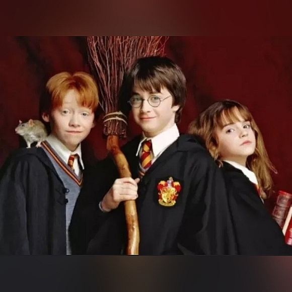 Harry Potter Hogwarts Crest Hallmark Christmas Tree Ornament - Picture 14 of 14